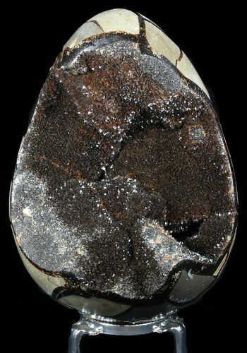 Septarian Dragon Egg Geode - Black Crystals #57435